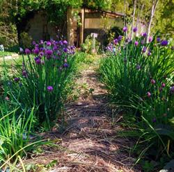 Les Jardins de Barate, Morlanne - Horaires d'ouverture