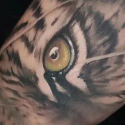 DARK MASS Tatouage (uniquement sur rendez-vous), Quéven - Horaires d'ouverture