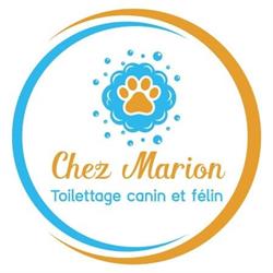 Chez Marion toilettage, Caraman - Horaires d'ouverture