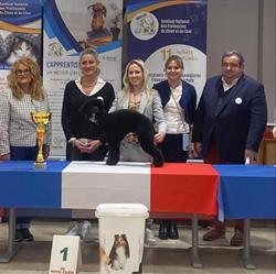 Les ciseaux canins, Nîmes - Horaires d'ouverture