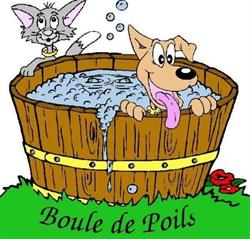 Boule De Poils, Gussignies - Horaires d'ouverture