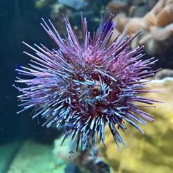 Aquarium ADP Orly, Orly aéroport - Horaires d'ouverture
