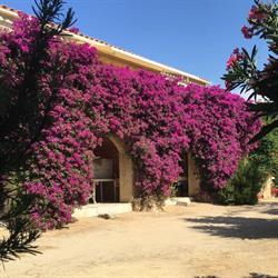 Villa Rocca, Lumio - Horaires d'ouverture