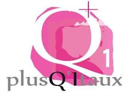 plusQ1taux courtier en prêts immobiliers et professionnels, Toulouse - Horaires d'ouverture