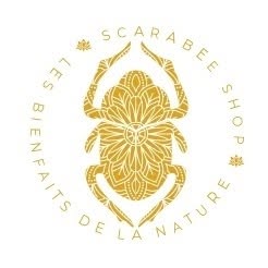 Scarabée Shop, Villeneuve-d'Ascq - Horaires d'ouverture