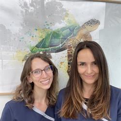 MyVet Cannes Ouest, Cannes-la-Bocca - Horaires d'ouverture