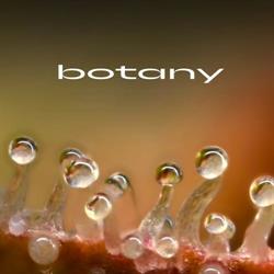 botany cbd, Castelnaudary - Horaires d'ouverture
