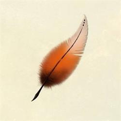 Plume de Renard, Lablachère - Horaires d'ouverture