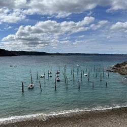 Gîte les 3 pins, Ploumagoar - Horaires d'ouverture