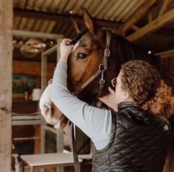 Anais Rochette Ostéopathe pour Animaux, Lisieux - Horaires d'ouverture