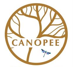 Canopée Sélestat - Horaires d'ouverture