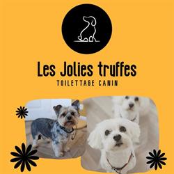 Les Jolies Truffes, Lannilis - Horaires d'ouverture