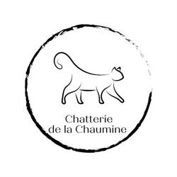Chatterie de la Chaumine - Élevage de Maine Coon LOOF, La Flèche - Horaires d'ouverture