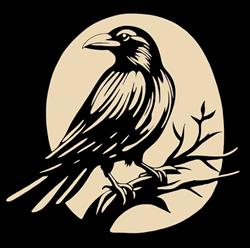 WHITE RAVEN, Marseille - Horaires d'ouverture