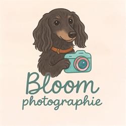 Bloom Photographie, La Madeleine-de-Nonancourt - Horaires d'ouverture