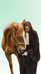 Othello Avocat - Droit Equin, Boulogne-Billancourt - Horaires d'ouverture