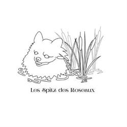 Les Spitz des Roseaux, Chamalières-sur-Loire - Horaires d'ouverture
