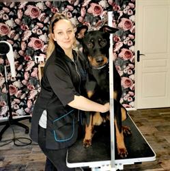 Bubble dogs, Beauvois-en-Cambrésis - Horaires d'ouverture