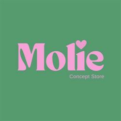 MOLIE Concept Store, Puylaurens - Horaires d'ouverture