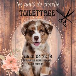 les amis de charlie, Pertuis - Horaires d'ouverture