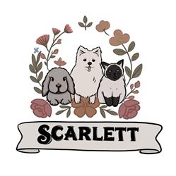 salon de toilettage Scarlett, Solesmes - Horaires d'ouverture