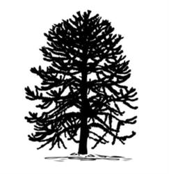 Maison Ty Tree, Pleuven - Horaires d'ouverture