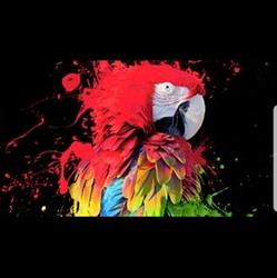 MJP peinture, Lourdes - Horaires d'ouverture