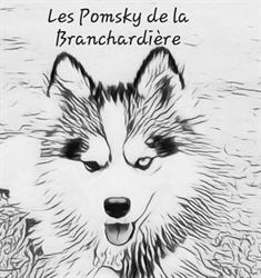 Les Pomsky de la Branchardière, Juvigné - Horaires d'ouverture
