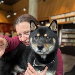 Rebel Dogs Academy, Angers - Horaires d'ouverture