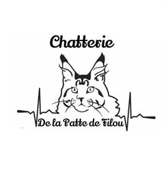 la chatterie de la patte de filou, Hescamps - Horaires d'ouverture