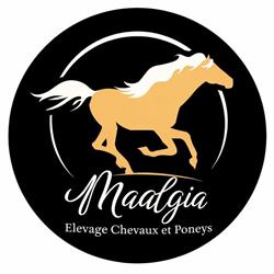 Elevage Maalgia, chevaux et poneys, Beaupréau-en-Mauges - Horaires d'ouverture