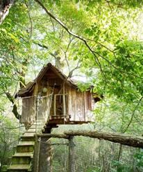 Ma Cabane à sons, Strasbourg - Horaires d'ouverture