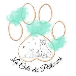 La Colo des Pattounes, Chissay-en-Touraine - Horaires d'ouverture