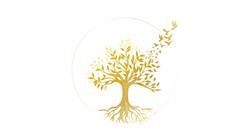Hypnothy's, Salon-de-Provence - Horaires d'ouverture