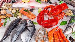 Poissonnerie La Gamba Royale, Béziers - Horaires d'ouverture