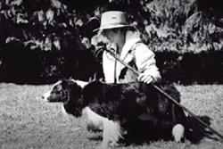 SHEEP DOG MOSS - Educateur canin, Rougemontiers - Horaires d'ouverture