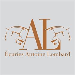Ecuries Antoine Lombard, Coulanges - Horaires d'ouverture