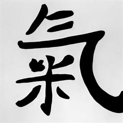 Shiatsu Marie Dumillier, Les Roches-de-Condrieu - Horaires d'ouverture