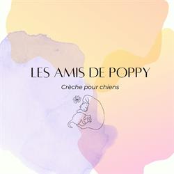 Les Amis de Poppy, Bouxières-aux-Dames - Horaires d'ouverture