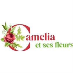 Camelia et ses fleurs, Le Chesnay - Horaires d'ouverture