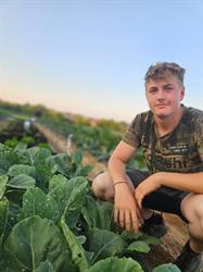 Le Potager de Baptiste, Eckwersheim - Horaires d'ouverture