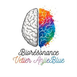Bioresonance Vetier Anjieblue, Quimper - Horaires d'ouverture