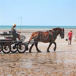 La Cavalerie d'Andrea, Saint-Pair-sur-Mer - Horaires d'ouverture