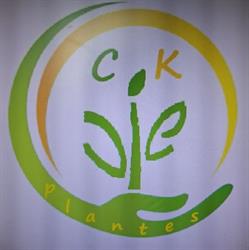 CK plantes, Salon-de-Provence - Horaires d'ouverture