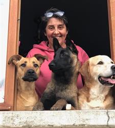 Entr' Chiens et Chats, Charny - Horaires d'ouverture