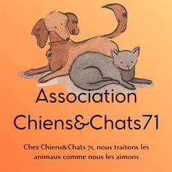 Association Chiens&Chats71, Mâcon - Horaires d'ouverture