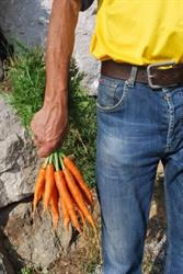 À pic légumes, Saint-Héand - Horaires d'ouverture