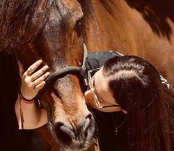 Centre Équestre du Phoenix – Poney Club à Cairanne, - Horaires d'ouverture