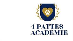 4 Pattes Académie : Activités Canine et vente de produits pour animaux (Quatre Pattes Académie), Avreuil - Horaires d'ouverture