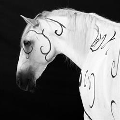 Ecurie les 3 graines - Equitation Raisonnée, Porcieu-Amblagnieu - Horaires d'ouverture